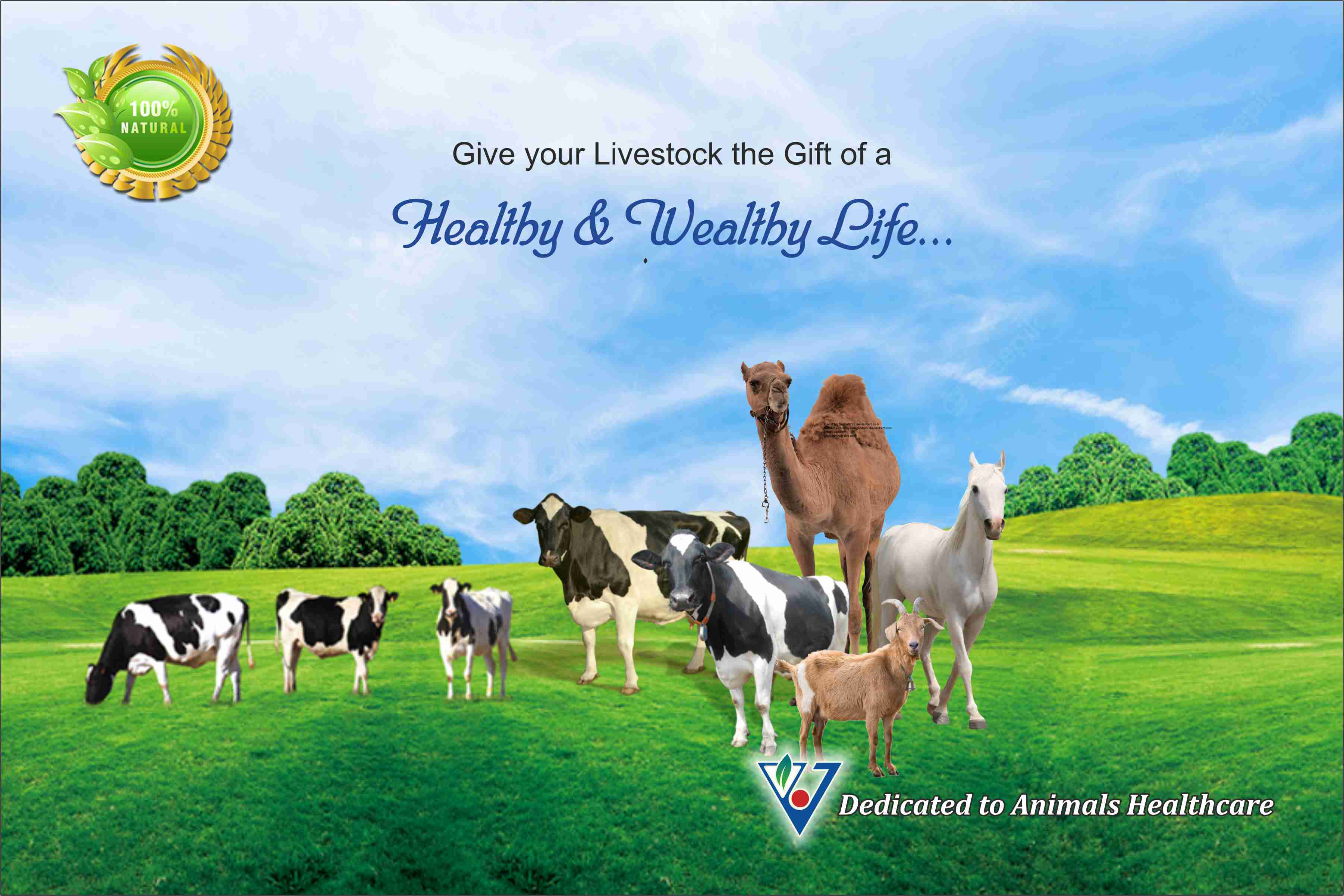 BEST COW FEED SUPPLEMENT